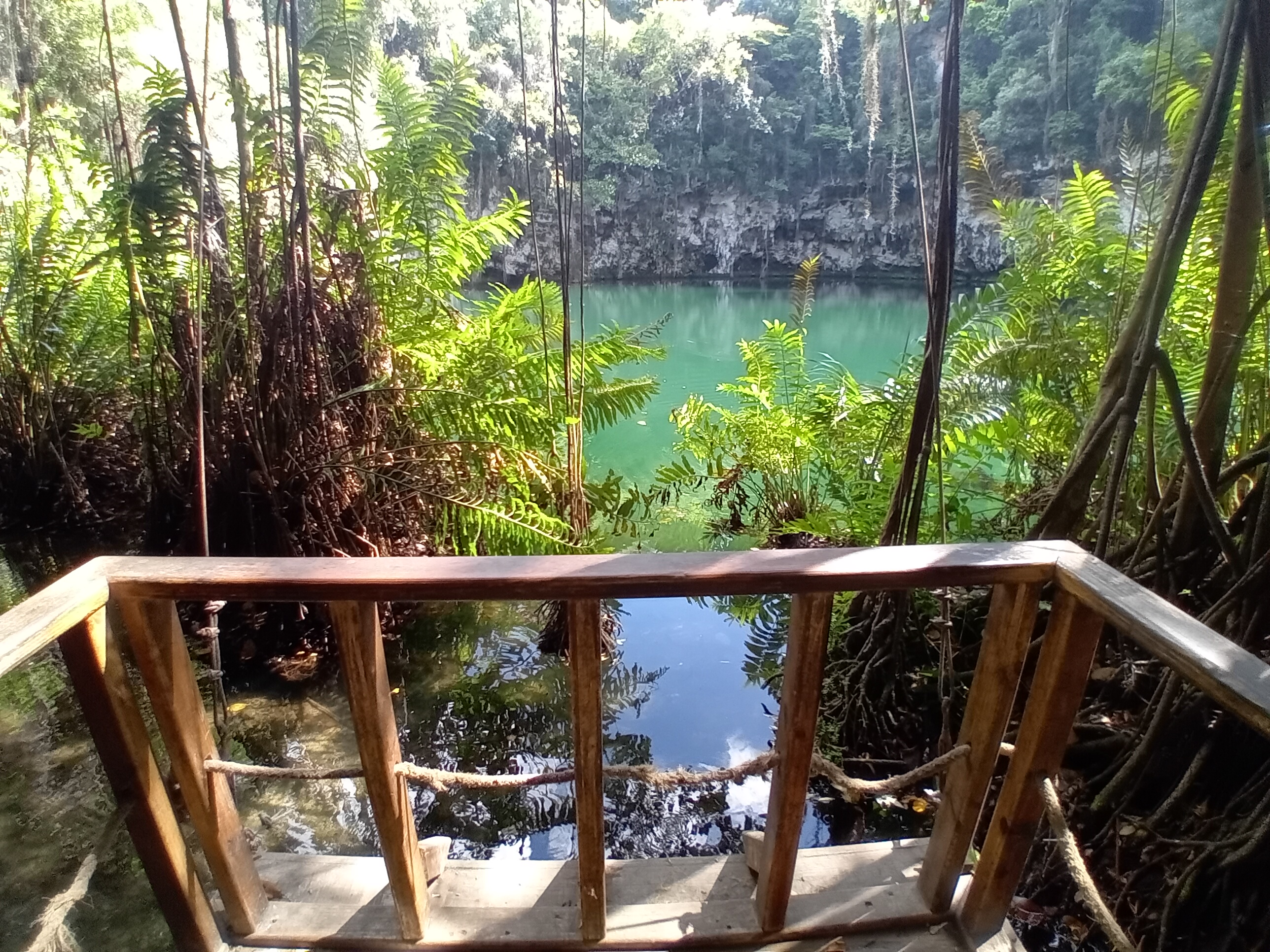 🌿 Descubre la Magia de Los Tres Ojos en Santo Domingo con Dominican Local Tour